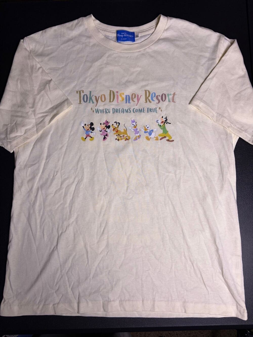 Tokyo Disney Resort Where Dreams Come True Graphic Print T-Shirt Large Japan
